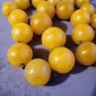 128 Grams Antique Bakelitecatalin