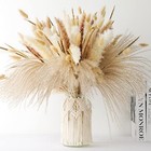 Dried Pampas Grass Decor - 120 Pcs Dried Flowers For Vase 120 Pcs - 5 Varieties
