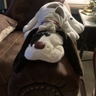 Vintage 1985 Tonka Pound Puppy Plush Large 18  Beige Brown Spots Collar Vguc