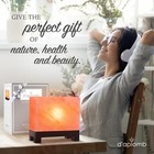 D aplomb 100  Authentic Natural Himalayan Salt Lamp hand-carved Modern Rectangle