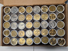 Sealed Bank Roll  25 Fv Fed Loomis Dollar Coins Sacajawea Susan B  Anthony Wow