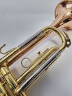 Yamaha Trumpet Ytr-332 Mouthpiece With Hard Case