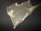 Ww2 German Luftwaffe Aircraft - Fabric Skin Section - He111 - Very Nice 