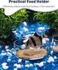 3 Pcs Shrimp Feeding Dish Clear Glass Aquarium Shrimp Feeder Transparent Food
