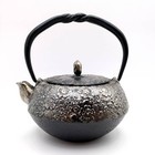 Nambu Ironware Japanese Cast Iron Tetsubin Teapot With Box Tea Ceremony Kettle 