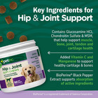 Petnc Natural Care Hip And Joint Soft Chews For Dogs 90 Count