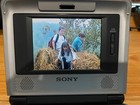 Sony Gv-d800 Video Walkman Digital8 Hi8 Video8 Vcr Recorder-player  sn 33612 