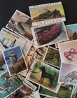 Thailand Stamp Lot1 30 Pcs Mixed Used Commemorative Colorful Collection   Lektan