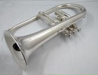 Yamaha Yfh-731 Flugelhorn Used With Hard Case