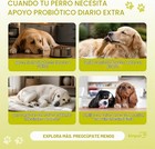 Dog Probiotics 120 Chews  4 Billion Cfu  Digestive Enzymes   Prebiotics  Vet Usa