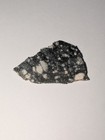 Achondrite Moon - Lunar Meteorite Nwa 11273  Full Slice 0 98 Grams  Coa