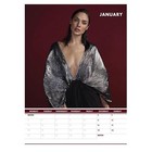 Gal Gadot 2025 Calendar  Month To View A3 Wall Celebrity Calendar