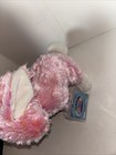 Webkinz Cheeky Bunny       Hm706  - New With Sealed Code - Very Cute