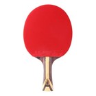 Dhs 9 Star H9002 h9006 Table Tennis Bat Racket With Case