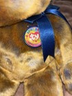 Ty Beanie Buddy    clubby Iii    Retired 14  Stuffed Animal Bear Plush 2000