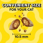 Temptations Classic Savory Salmon Flavor Crunchy And Soft Treats For Cats  30oz