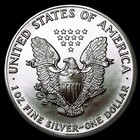 1989  American Silver Eagle  1  Oz   Pure Fine Silver Bullion Coin  999  Bu-unc