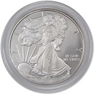 2008 W American Silver Eagle Choice Proof Bullion  1 Coin Ogp Coa