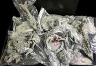 Unpainted 28mm Merfolk  Sharks  Sea Monsters   More Minis  lot Of 44 