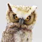 Bh6767 Hansa Blakiston s Fish Owl  Realistic Stuffed Animals Plush