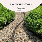 6 Pound Pebbles  3 8 Inch Pea Gravel River Rocks  For Indoor Plants  High 