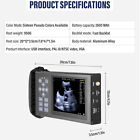 Handheld Veterinary Ultrasound Machine For Pet Pregnancy And Other Inspect