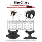 Military Tactical Dog Harness Set   Large K9 Vest   Leash