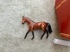 Cute Peter Stone Horse Warmblood Chips Equilocity Fortune Cookies Bay Glossy