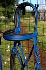 Navy Blue Bitless Bridle W  Reins
