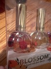 Blossom Set Of 3 Scented Cuticle Oils
