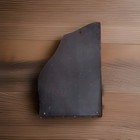 Antique  Zither 1800-1900 s Columbia Special 21 2