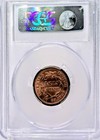 Stunning 1851 Rb Braided Hair 1 2   Half Cent Pcgs Ms62rb - Regular Strike - Unc 