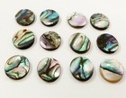 12 Vintage Genuine Abalone Mother Pearl Paua Shell 12x10mm  Oval Cabochons 1247