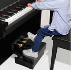 Alapur Adjustable Piano Pedal Extender Bench Wooden 3 Pedal Design Black
