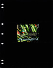  7 75 Scott Value - 2021 Guyana Hummingbirds S s South America Cv Mnh Nh Umm