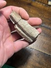 Triceratops Skull Frill Section Hell Creek Formation Sd Dinosaur Fossil