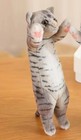 Kitten Tabby Cat 10  Stuffed Animal Plush Toys Toddler Doll Kids Gifts