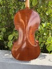 Antique 19th Century 4 4 Full Sized Markneukirchen German Violin - Guarnerius