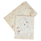 Dard Hunter Handmade Paper Samples 2001 Friends Keepsake Packet Nahp Papermakers