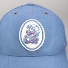 Norfolk Tides Hat Cap Snapback Blue Minor League Baseball Milb    47 Brand Osfa