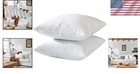 Downproof Cotton Euro Pillow Inserts  24x24 Size - Set Of 2  Modern Design