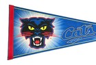 Vintage Fort Worth Cats Minor League Baseball Team Full Size 29  Pennant Early