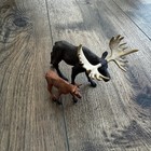 Lot Of 27 Safari Ltd  Animals Wildlife Birds Wolf Moose Bear Fox Eagle Deer