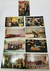 St  Louis Zoo Performing Animals Photograph Postcards Set Of 9 Vintage 1955 