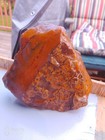 Petrified Wood Rough United States  Rough  Uncut  Unpolished