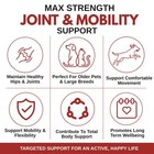 Max Strength Hip And Joint Supplement For Dogs   Cats  4 Oz  28 4 Navy