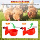 12x Chicken Automatic Watering Cups  Drinker Waterer  For Duck Quail Hen Poultry