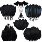 180 Pcs Black Feathers For Crafts 6 Style Mixed Craft Black-6style-180pcs