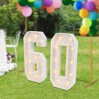 60 Light Up Numbers  60th Birthday Party Decoration Light Up Numbers New