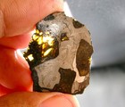   new   8 00 Gram - Nwa 15428 Pallasite Meteorite Slice - Found In Algeria